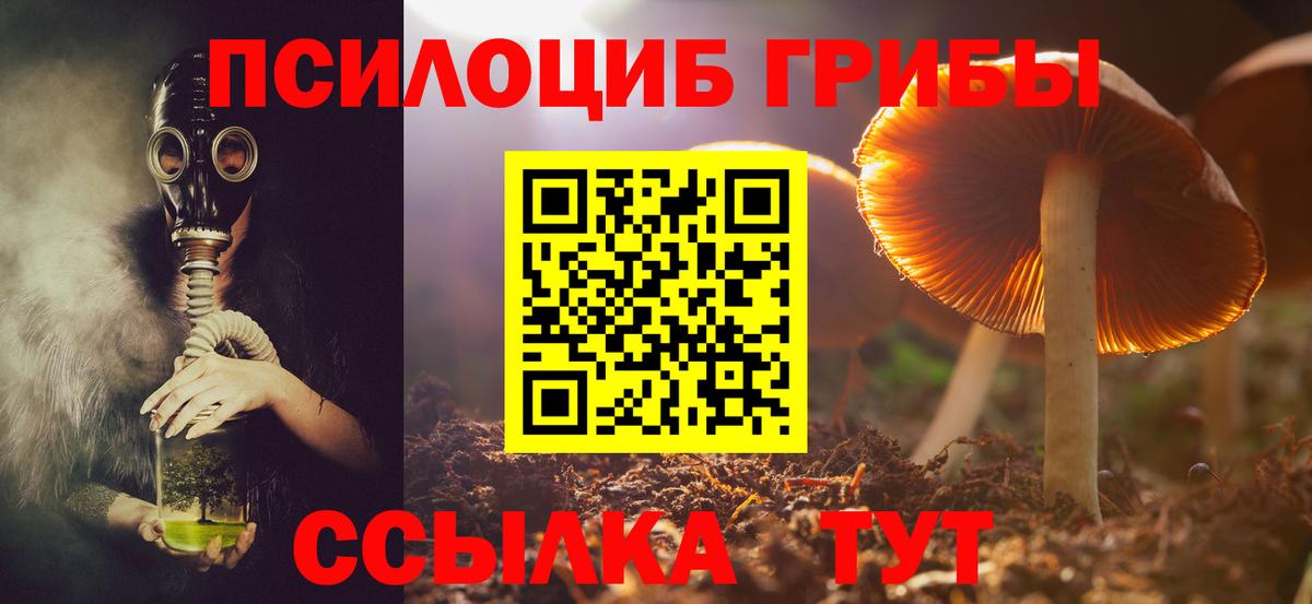 Галлюциногенные грибы прущие грибы  Вход с VPN  Кинешма 